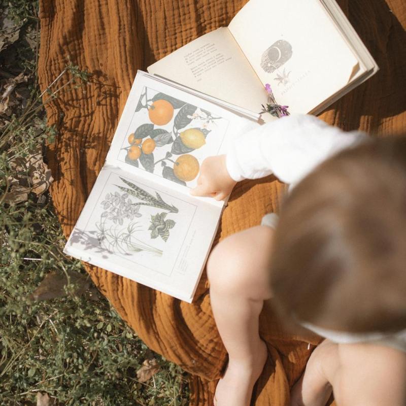 Children’s Books I Bring Out Every&nbsp;September